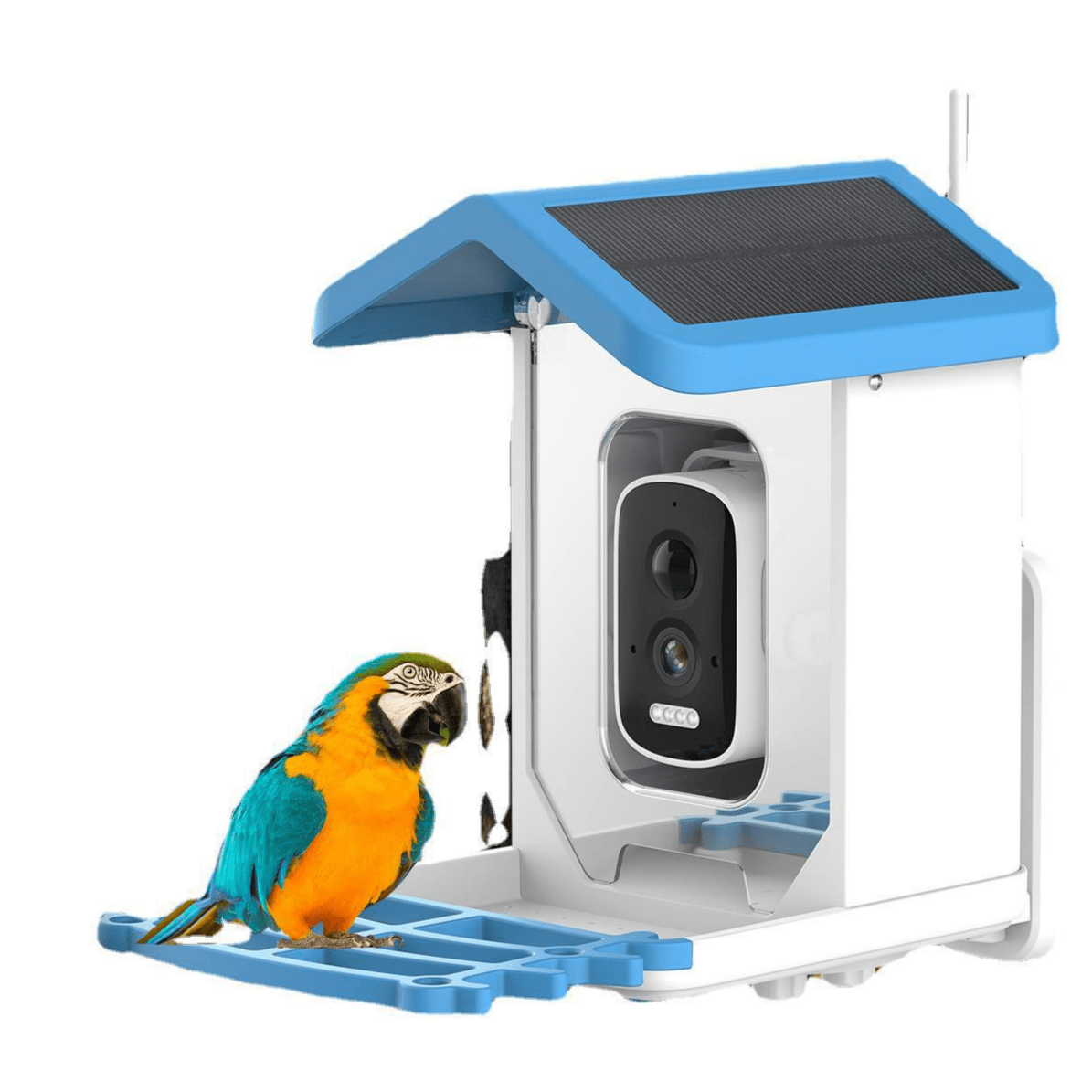 Smart Solar Bird Feeder Camera with AI Recognition - DoubleJoy Store