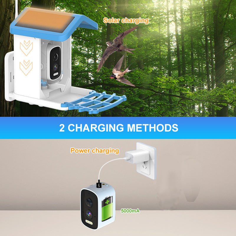 Smart Solar Bird Feeder Camera with AI Recognition - DoubleJoy Store