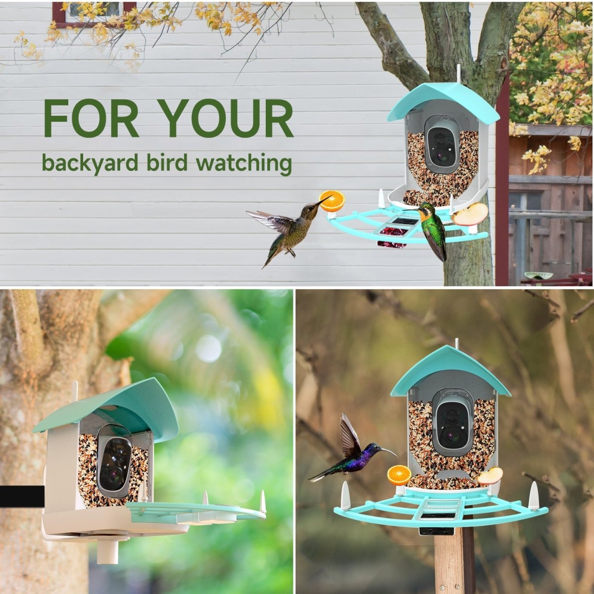 Smart Solar Bird Feeder with Camera - DoubleJoy Store