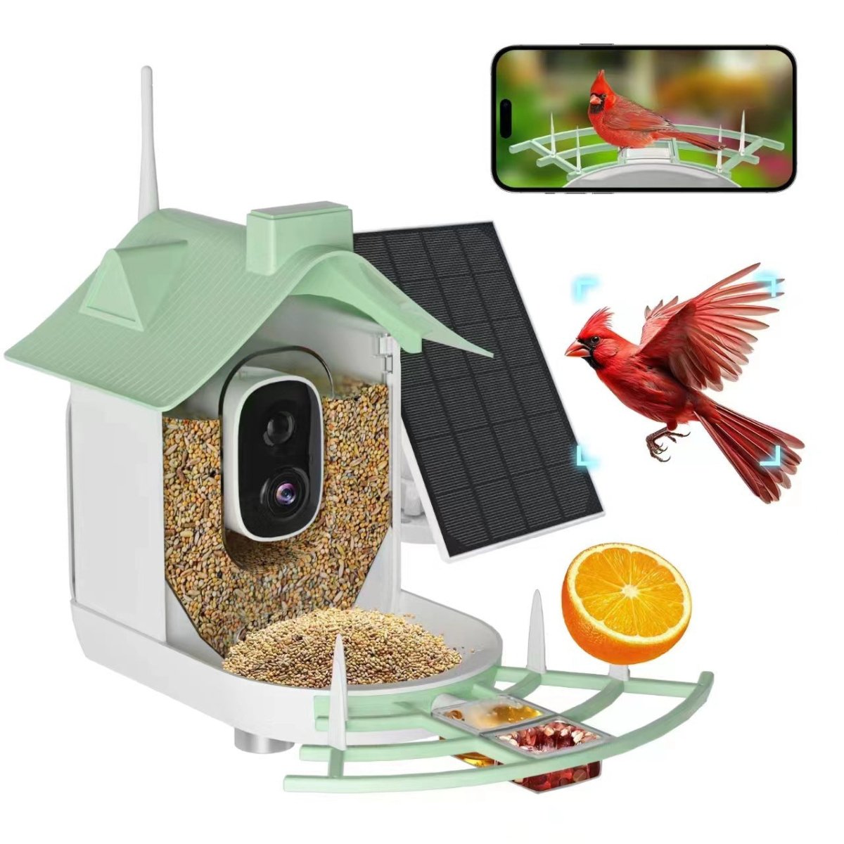 Smart Solar Bird Feeder with Camera - DoubleJoy Store