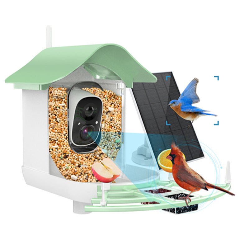 Smart Solar Bird Feeder with Camera - DoubleJoy Store