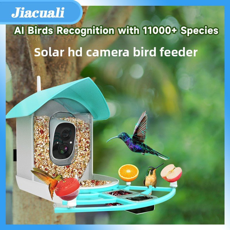 Smart Solar Bird Feeder with Camera - DoubleJoy Store