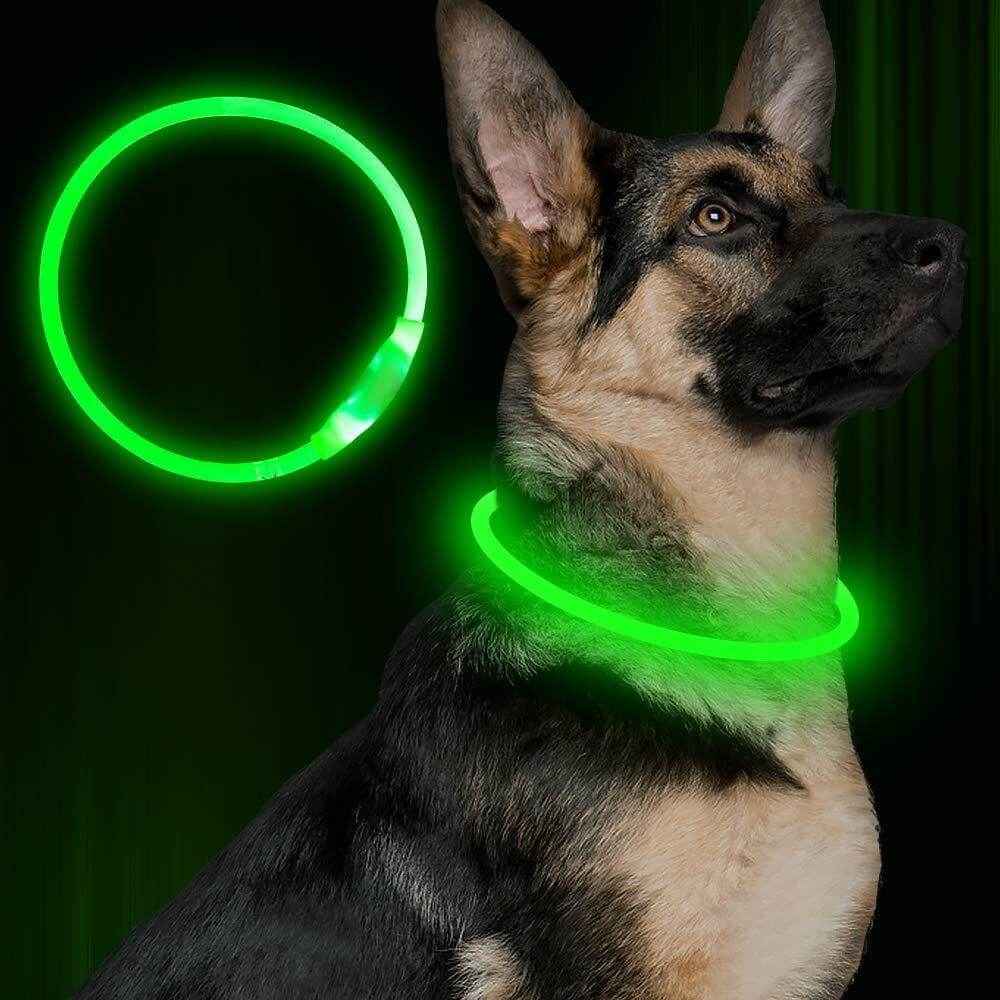 USB LED Dog Collar – Rechargeable Necklace