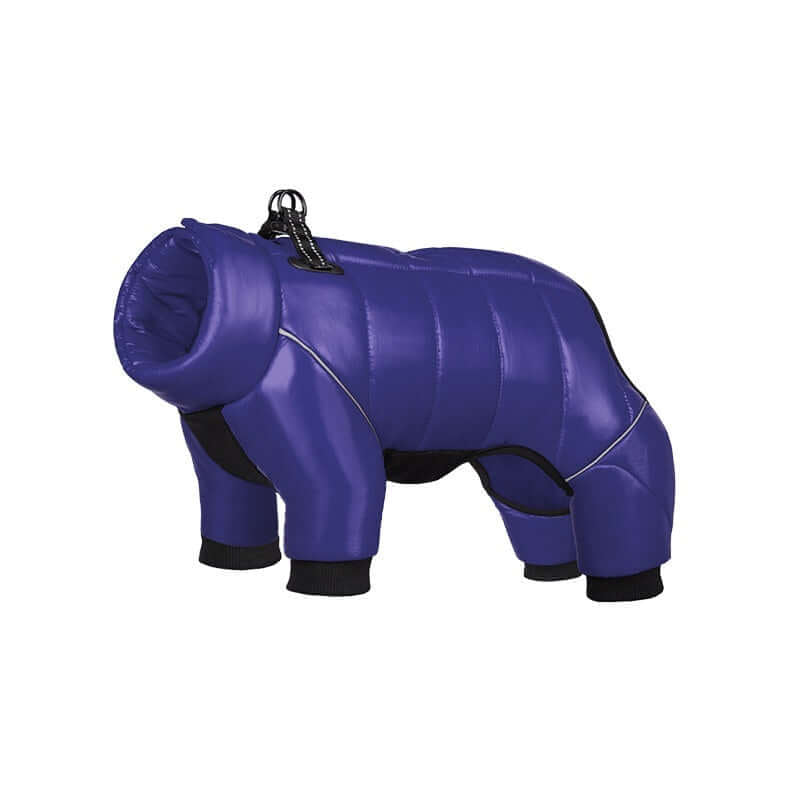 Waterproof Winter Dog Jacket for small dogs in blue, offering warmth and comfort.