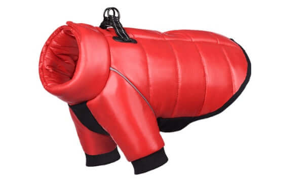 Red Waterproof Winter Dog Jacket for small dogs, warm pet coat, premium cotton, cozy and stylish outdoor wear.
