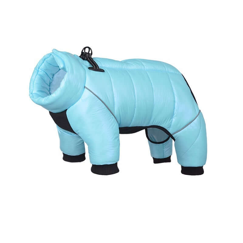 Light blue Waterproof Winter Dog Jacket for small dogs, outdoor pet coat.