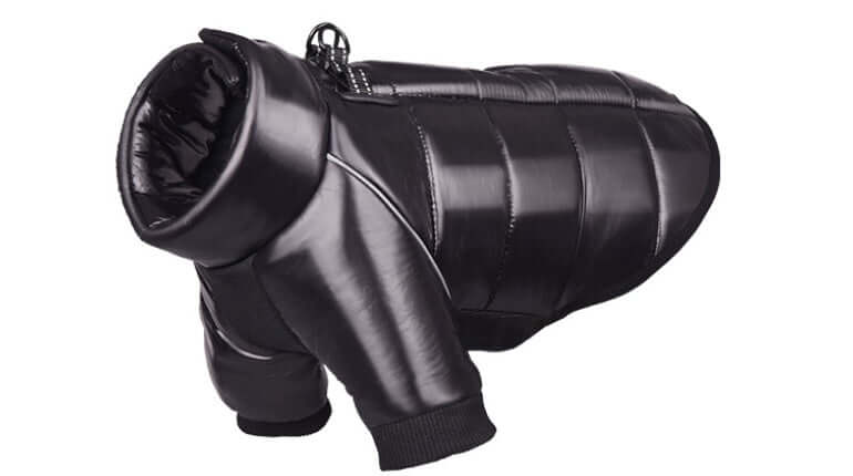 Waterproof Winter Dog Jacket for small dogs, black puffer-style pet coat ensuring warmth and comfort for outdoor activities.