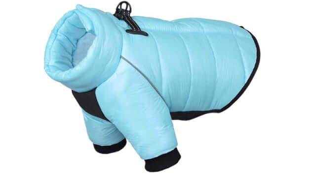 Waterproof Winter Dog Jacket in blue for small dogs, warm pet coat for cozy outdoor walks and play.