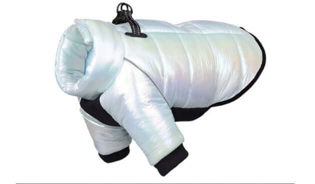 Waterproof Winter Dog Jacket for small dogs, stylish & warm pet coat for cold weather, premium cotton, white with black trim.