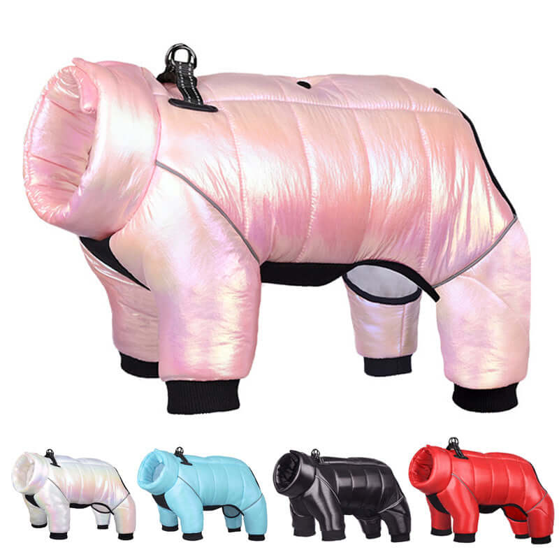 Waterproof Winter Dog Jacket in various colors for small dogs, showcasing warmth and style for pet comfort.