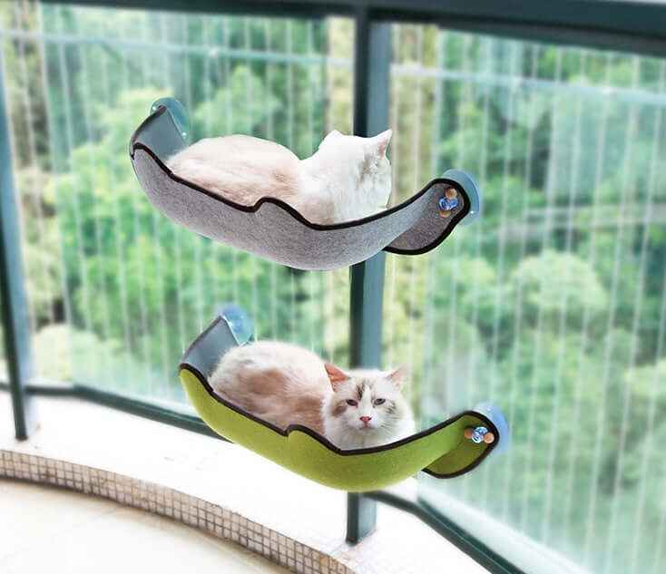 Window Sill Cat Hammock Bed – Sturdy EVA